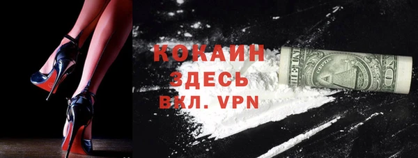 стафф Арсеньев