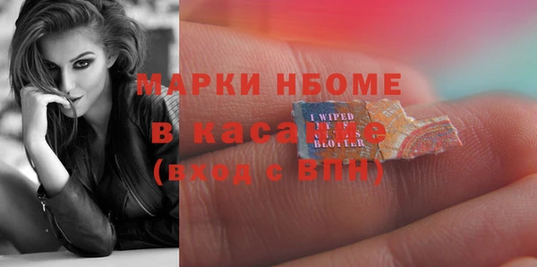 стафф Арсеньев