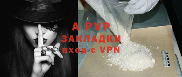 стафф Арсеньев