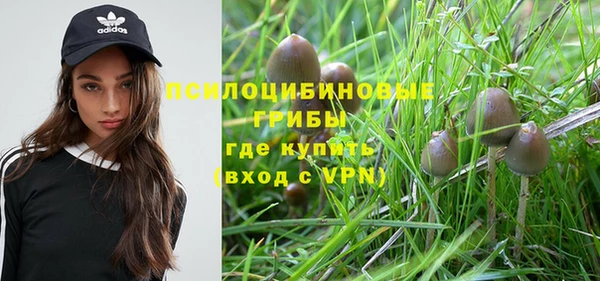 ПСИЛОЦИБИНОВЫЕ ГРИБЫ Армянск