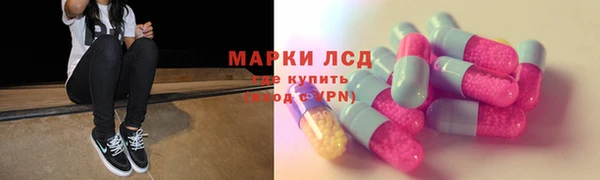 стафф Арсеньев