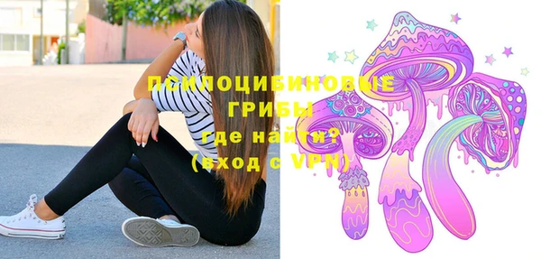 ПСИЛОЦИБИНОВЫЕ ГРИБЫ Армянск