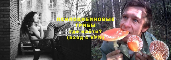 эйфоретик Аркадак