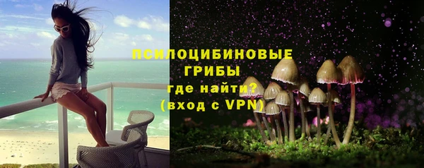 ПСИЛОЦИБИНОВЫЕ ГРИБЫ Армянск