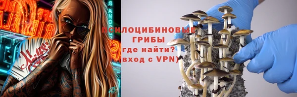 эйфоретик Аркадак