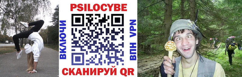 Псилоцибиновые грибы Cubensis  купить наркоту  Россошь 